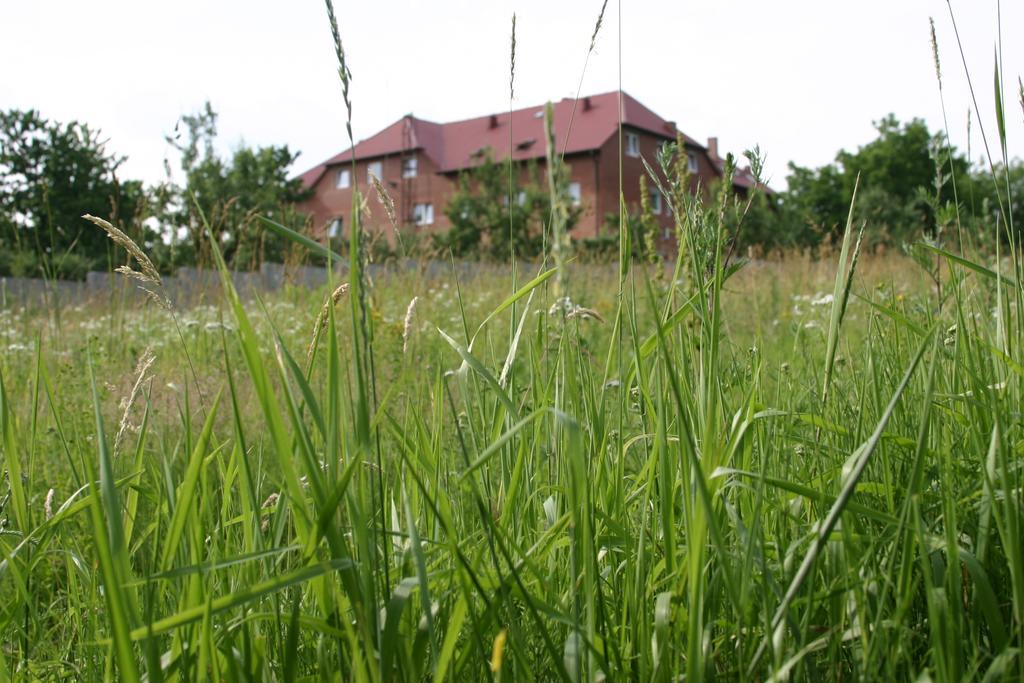 Motel U Olka Boczow Bagian luar foto